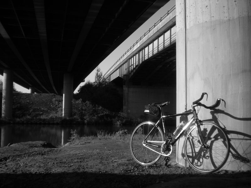 Fixie under the Thelwall M.6 viaduct