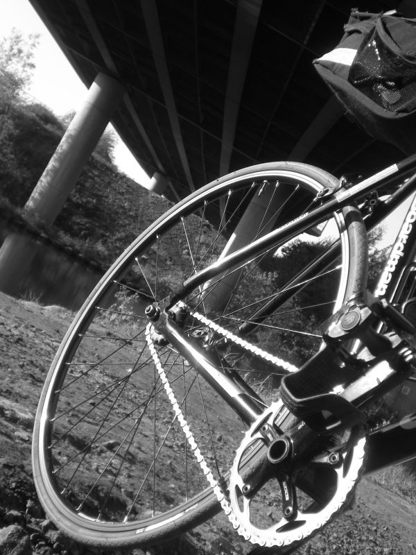 Fixie under the Thelwall M.6 viaduct