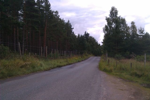 Forestry commission after aviemore.jpg