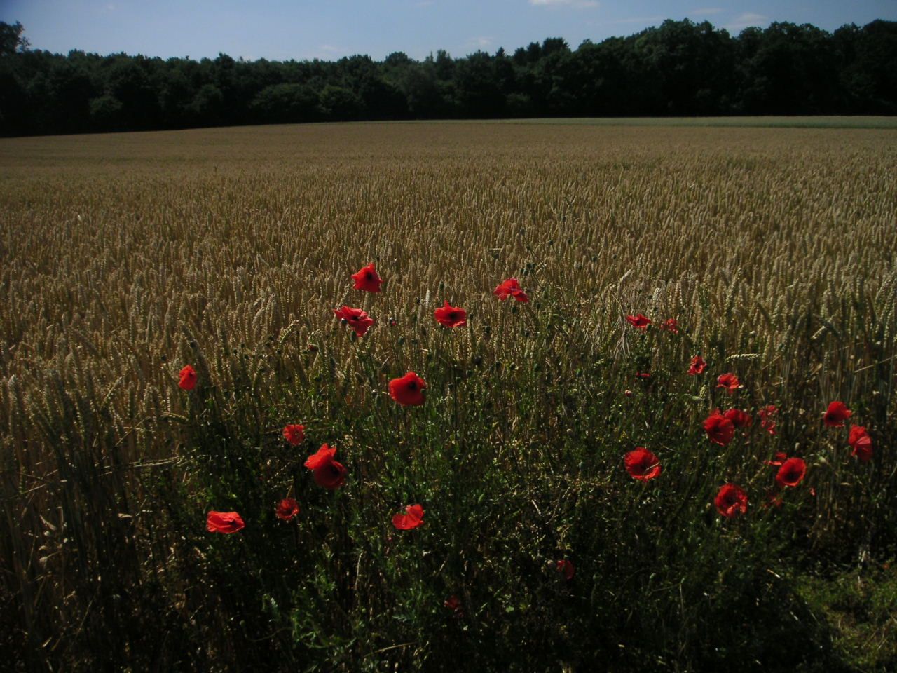 German bike tour 2008 049.jpg