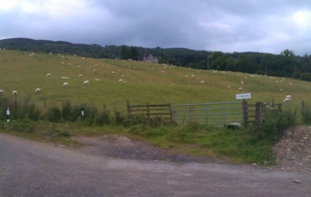 Hill towards Pitlochry.jpg