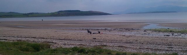 IMAG1426 (640x190).jpg