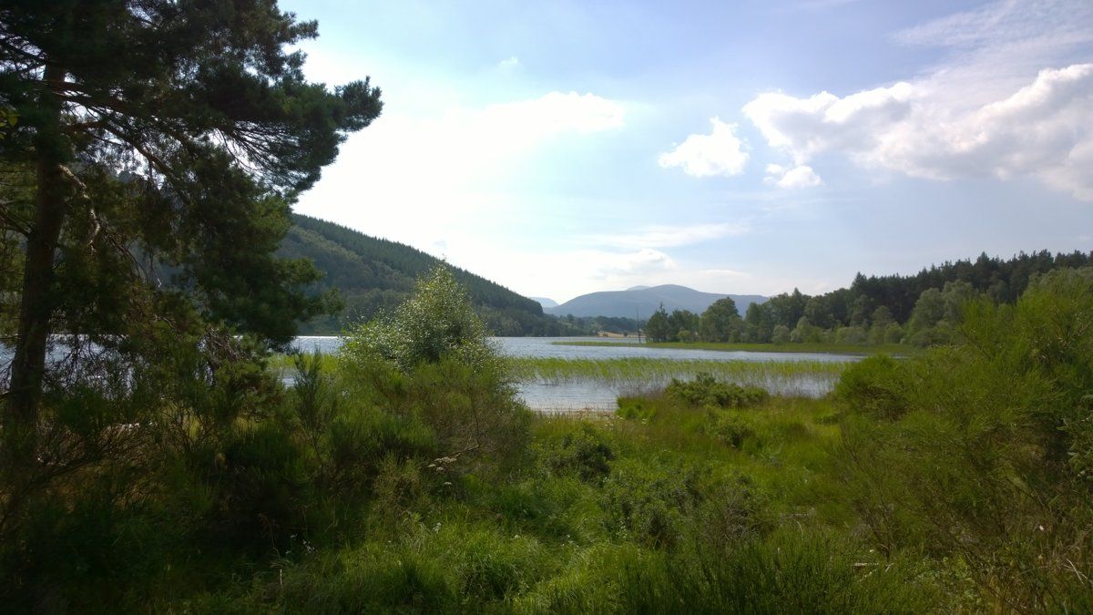 loch pityoulish