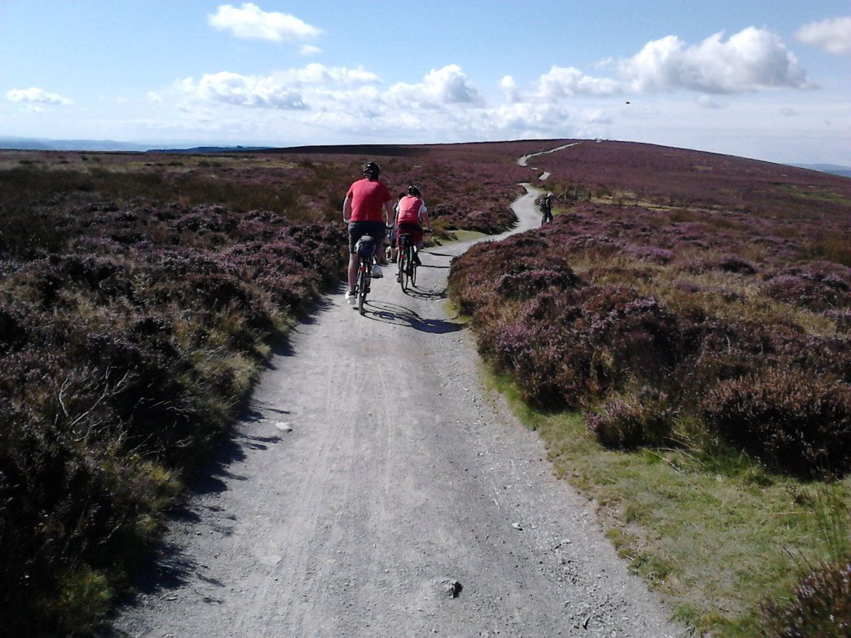 Long Mynd with Doug and Gav