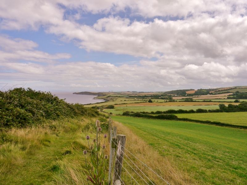 Looking back at Kilve from Quantock's Head