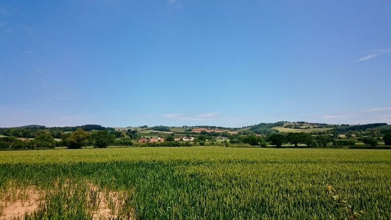 Looking up at the Quantock Hills, Somerset