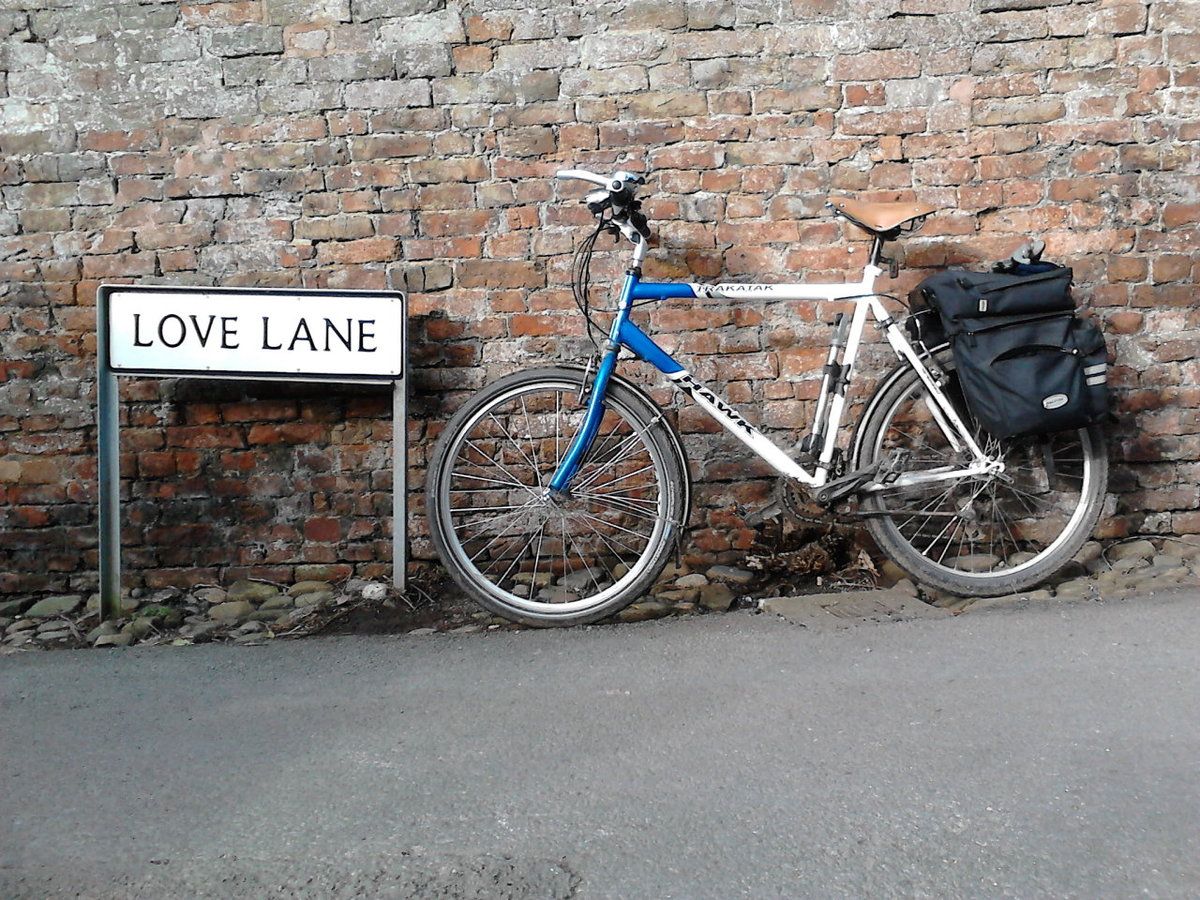 Love Lane