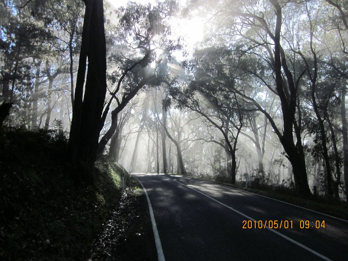 Macclesfield Rd, Macclesfield, east of Mt Dandenong