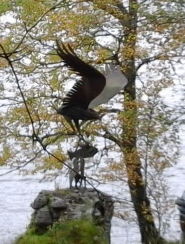 Metal art among the trees