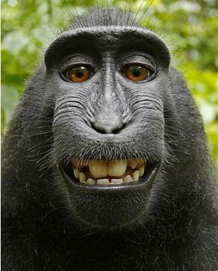 MonkeySmile.JPG