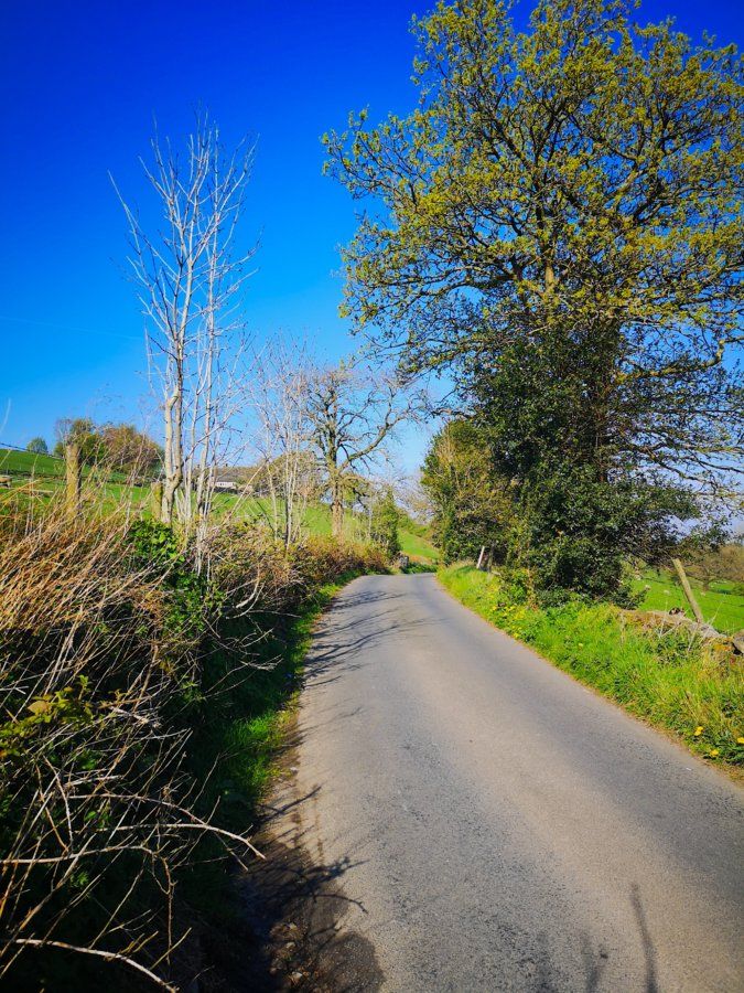 Morning ride 21/4/2019