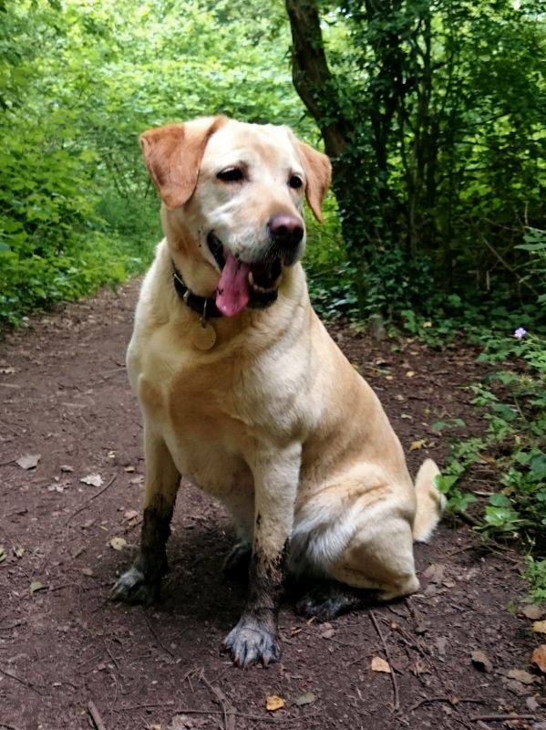 Mud, glorious mud!