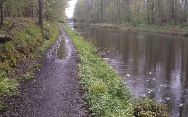 Muddy canal (640x399).jpg