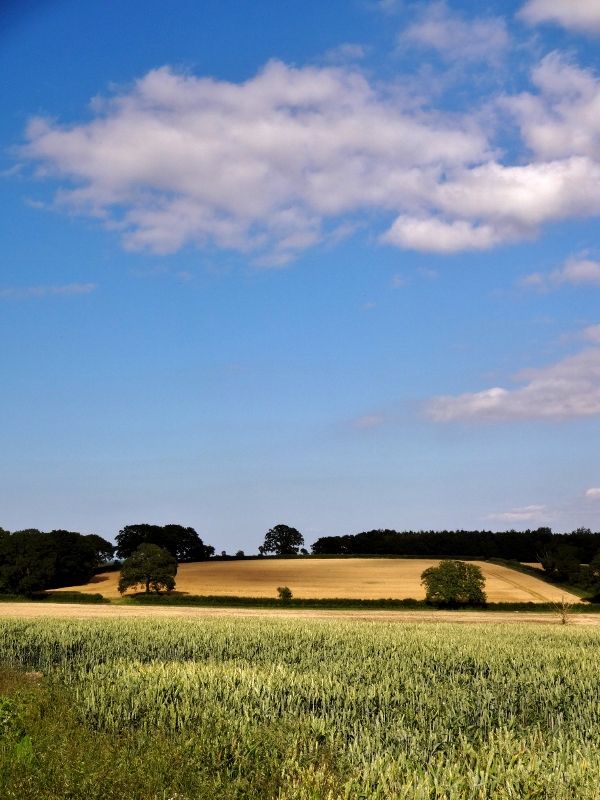 Near Staple Fitzpaine