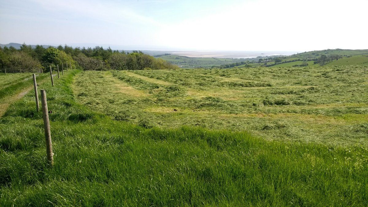 New mown hay near Bowstead Gates