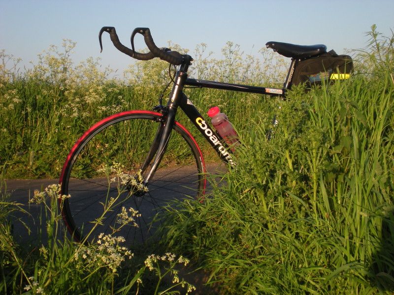 New red tyres in the greenary