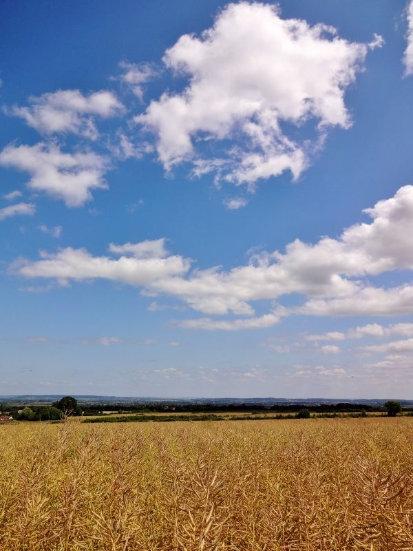 Nr Thurloxten on the edge of the Quantock Hills