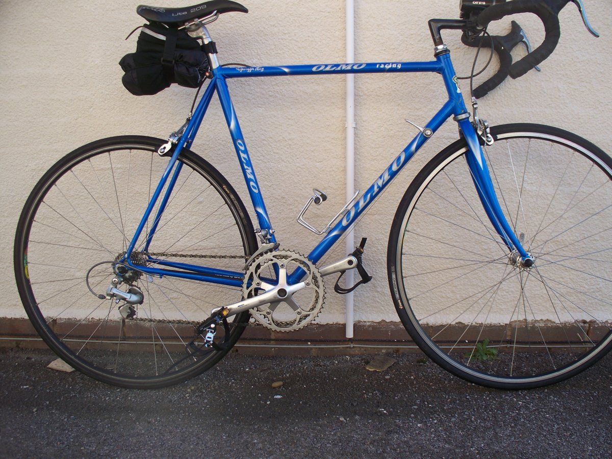 Olmo 001.JPG