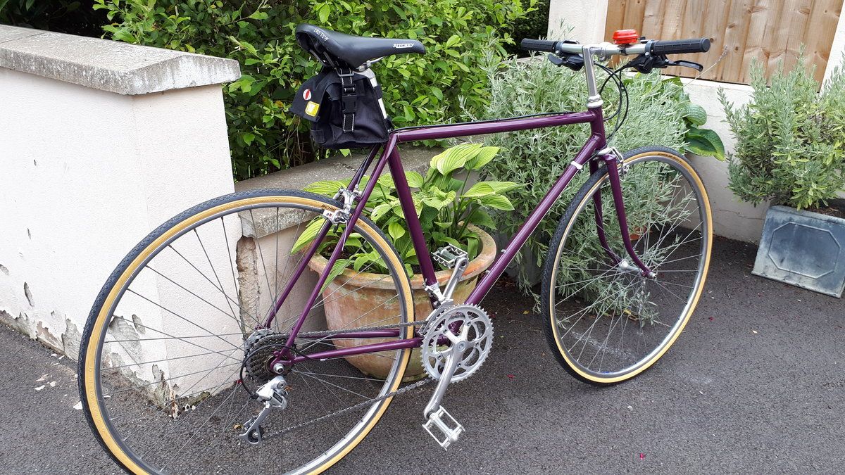 Purple raleigh 1