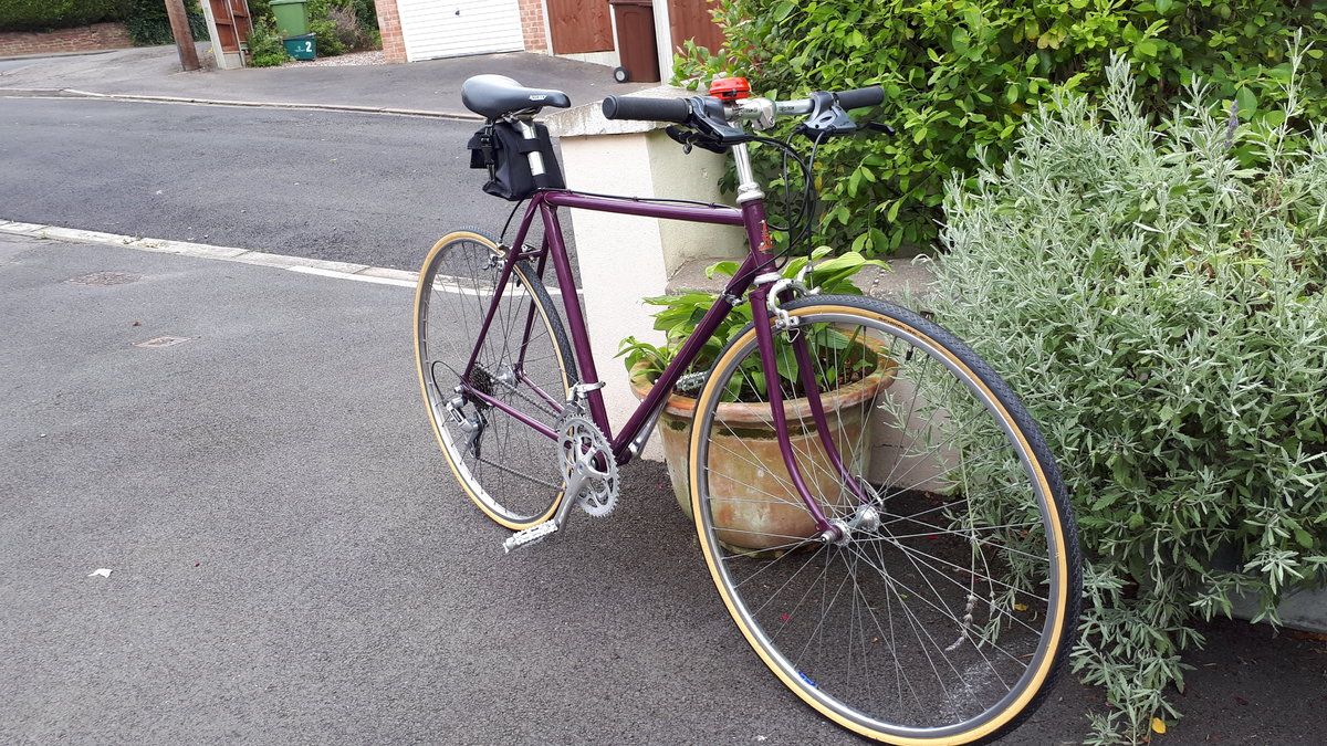 Purple raleigh 2