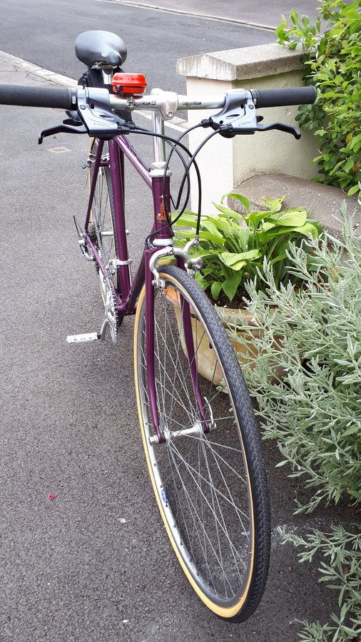 Purple raleigh 5