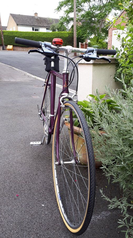 Purple raleigh 6