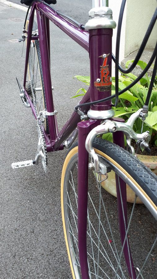 Purple raleigh 7