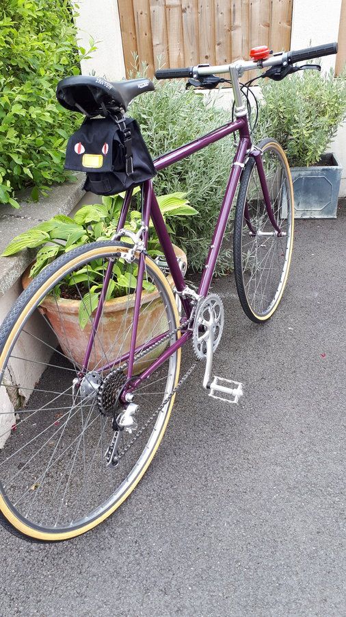 Purple raleigh 8