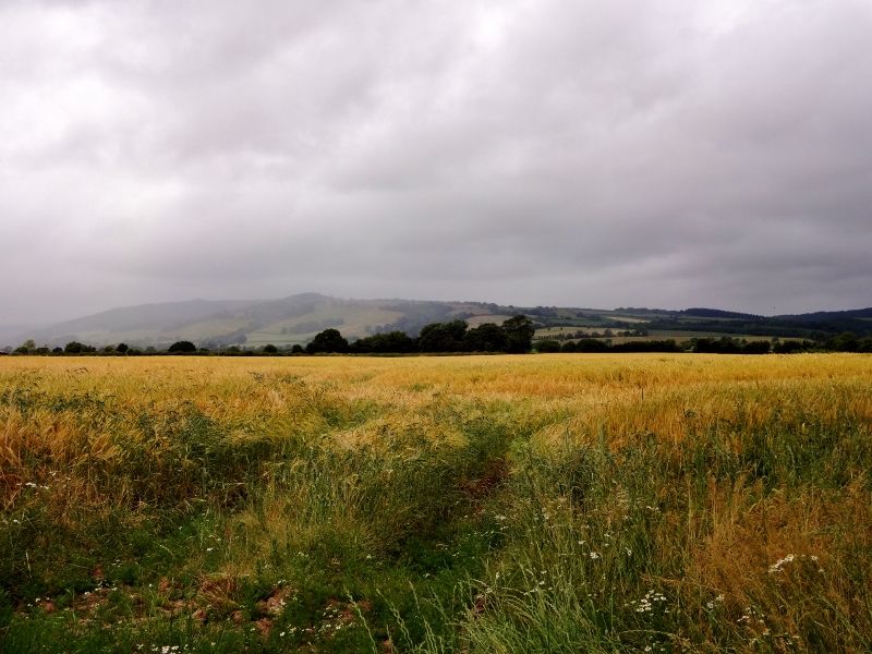 Rain over the Quantock Hills, Somerset