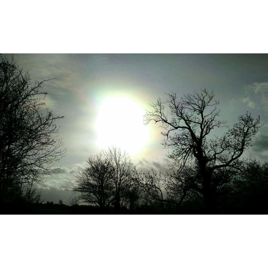 Random picture taken blind on my camera phone, couldnt see what I was taking as the sun was in my eyes, but I like it