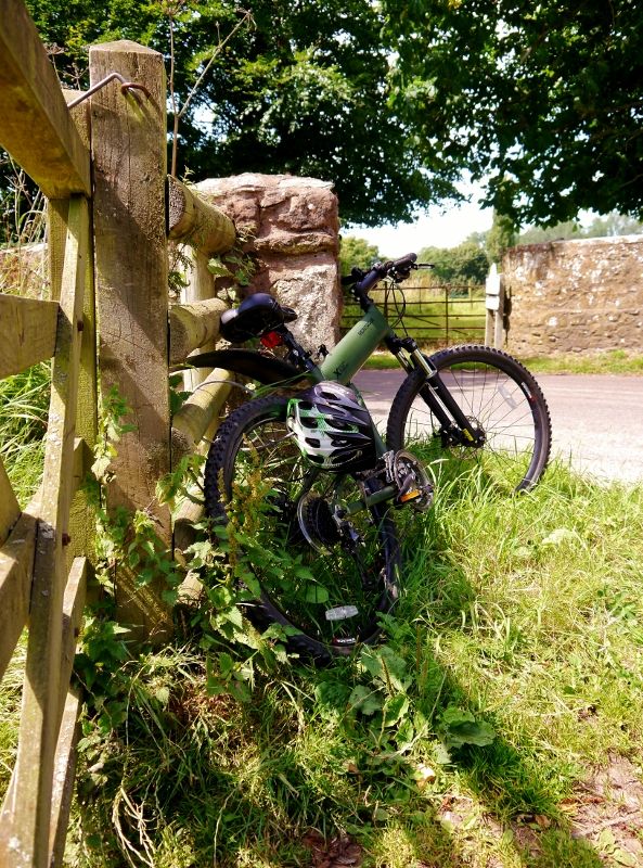 Roadside bike (light and shadow)