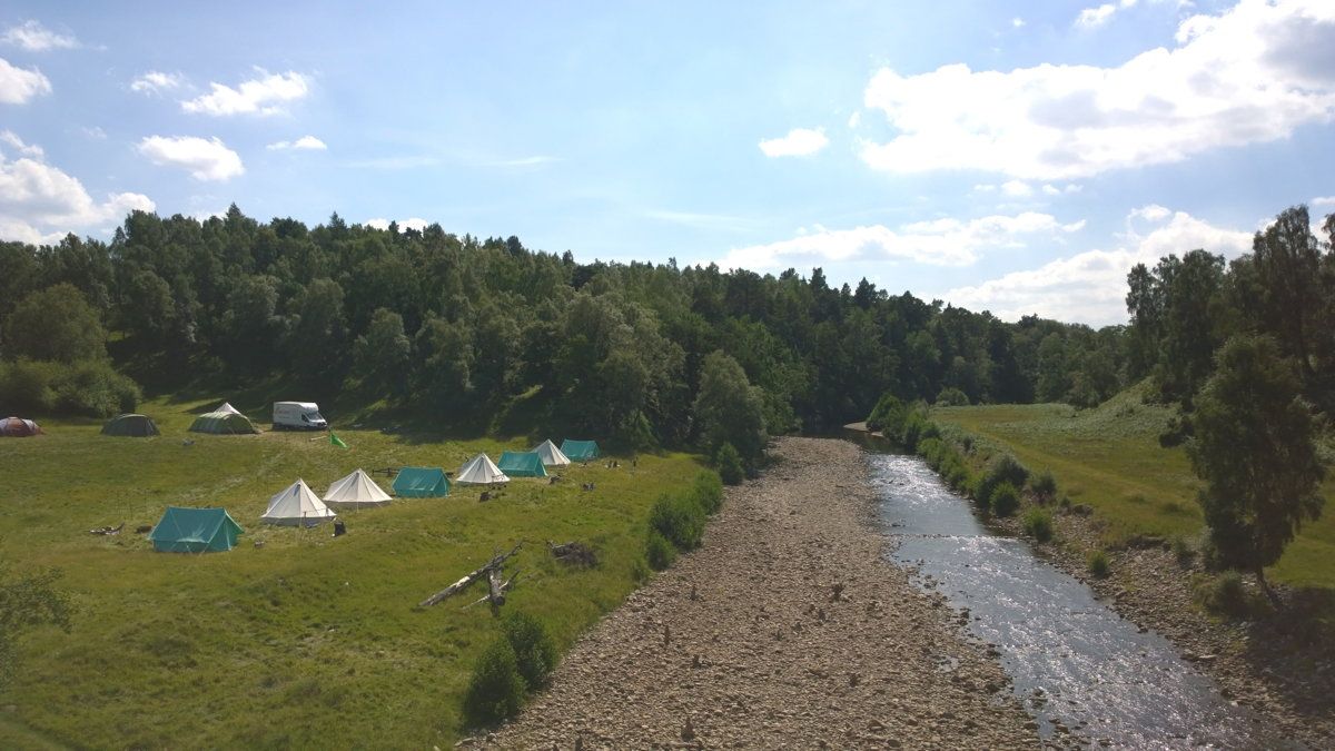 scouts from usa