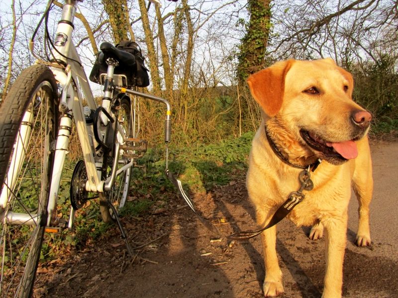 Snipe and one of the bikes