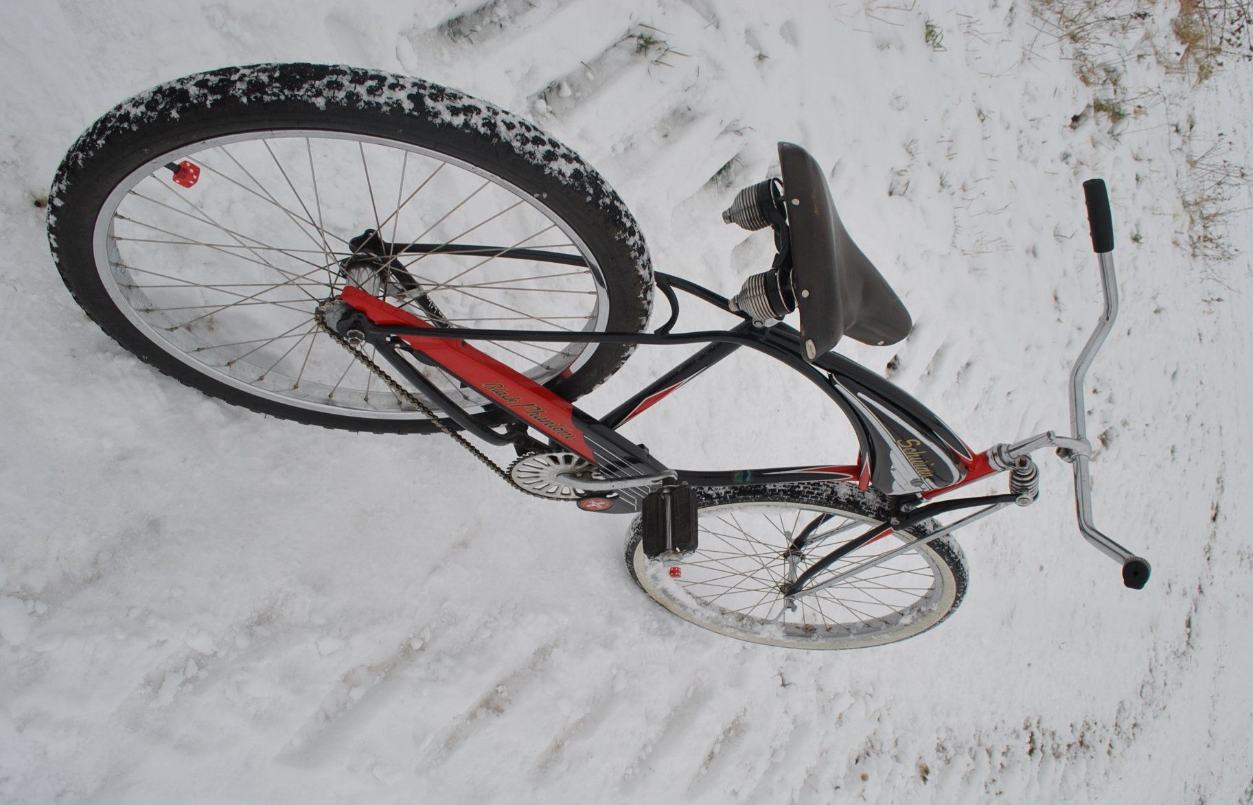 Snow Schwinn.jpg