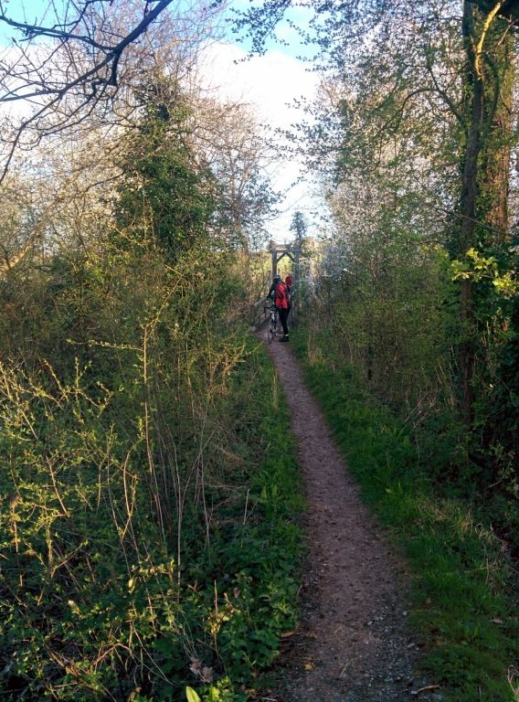 South Downs Way