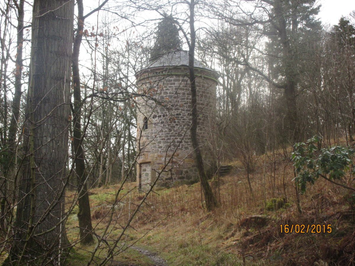 the tower in the woods