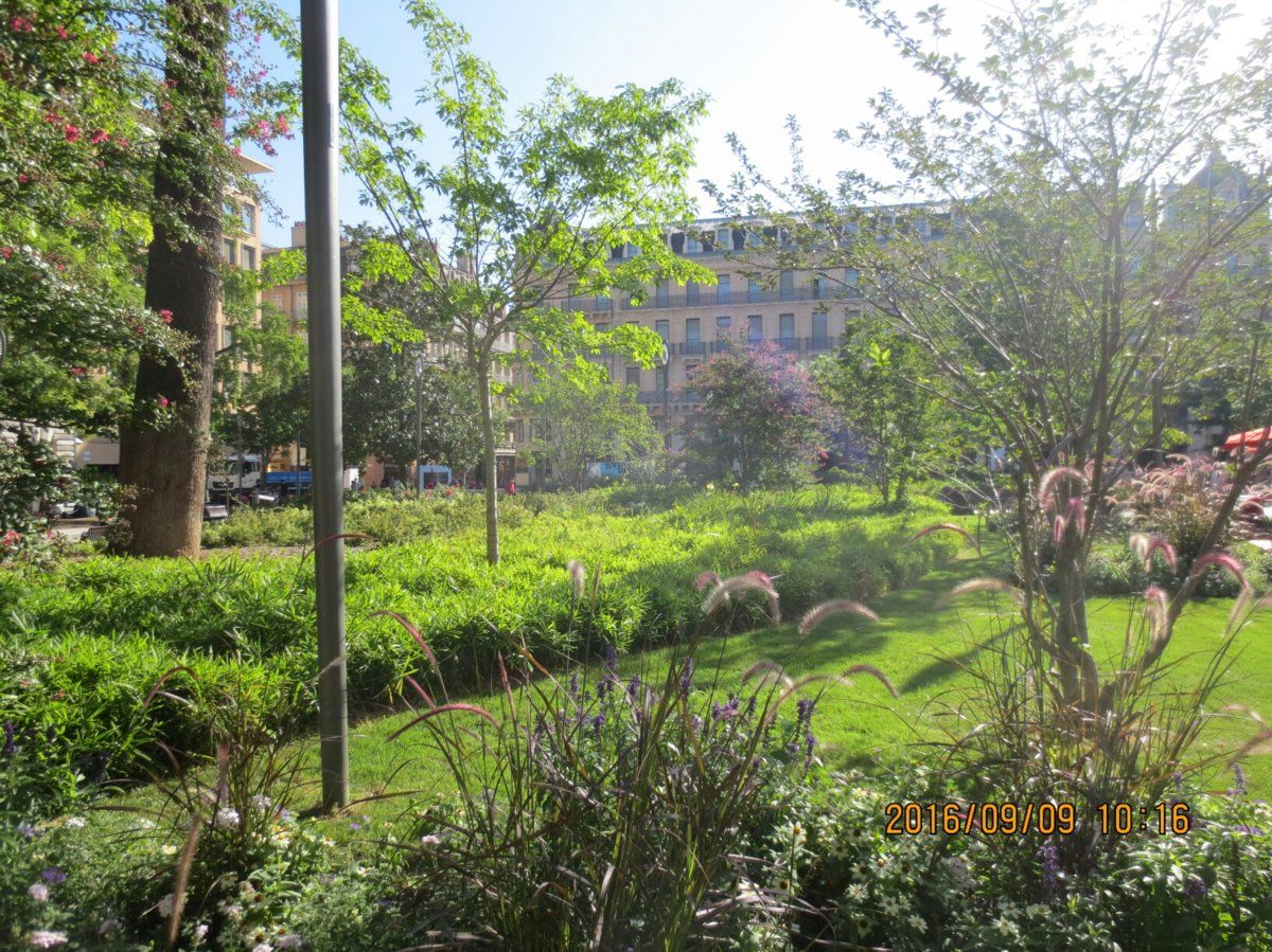 Toulouse city centre - Capitole park