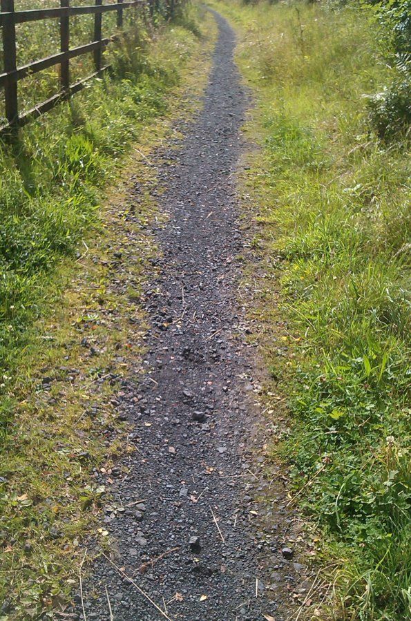 Track to Balloch.jpg