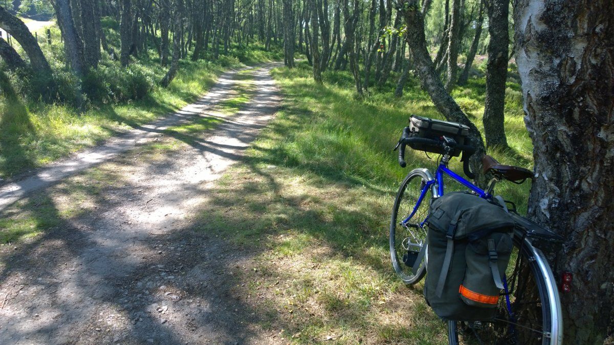 track to Sluggan bridge