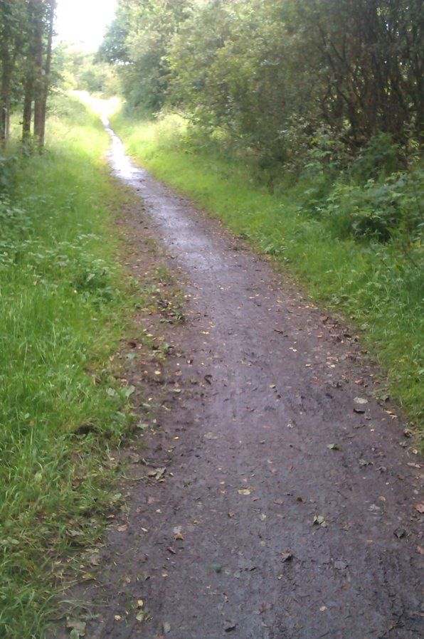trail to Balloch.jpg