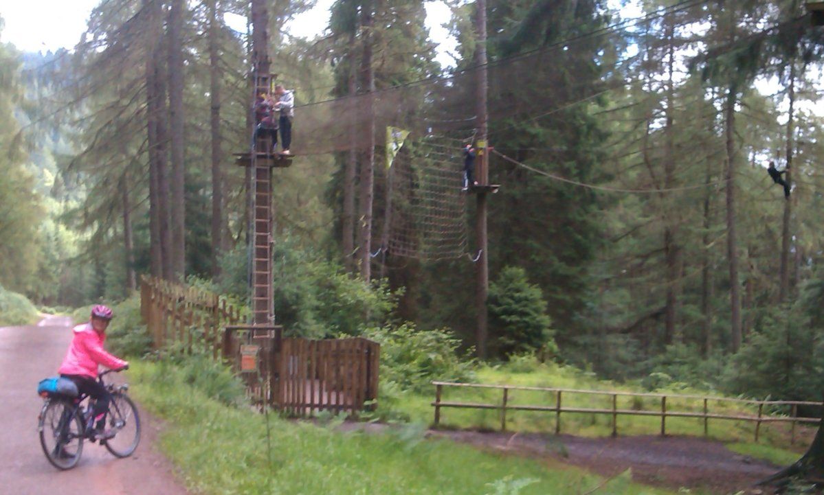 tree houses3.jpg