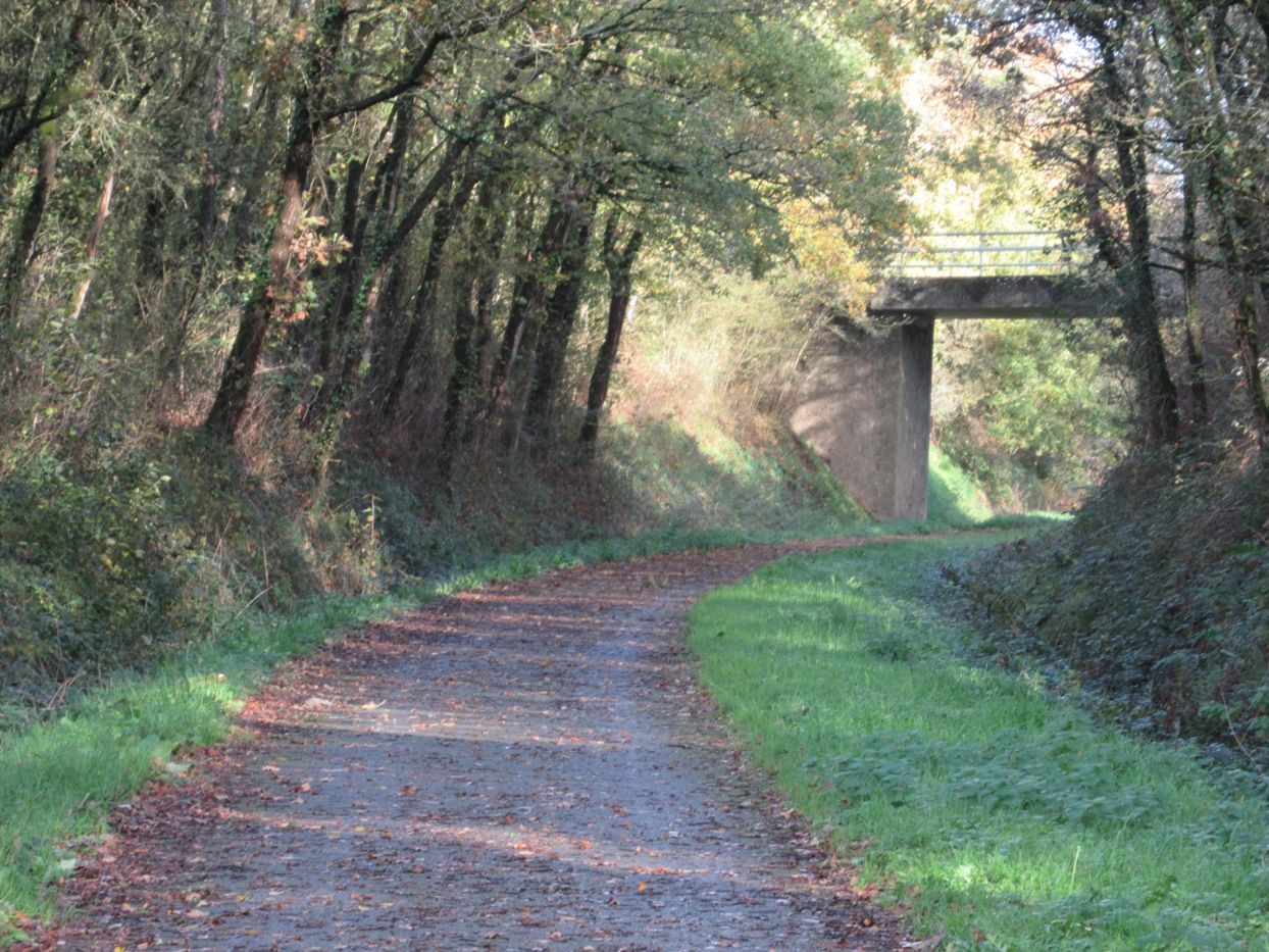 V3 near Bois de la Roche station pic 1.JPG