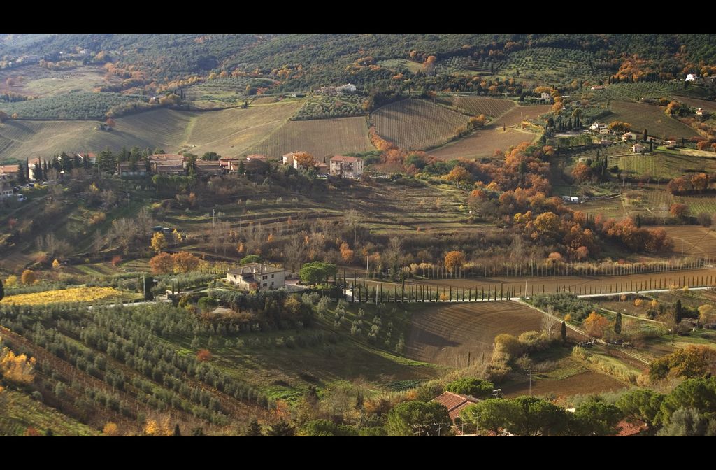 view from la torre grande - san gimignano.jpg