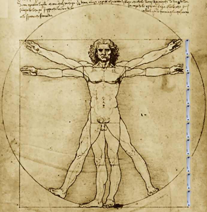 Vitruvian Man with cranks