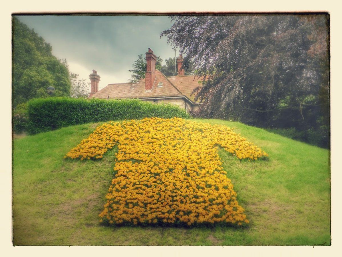 Yellow Jersey - Yorkshire Style